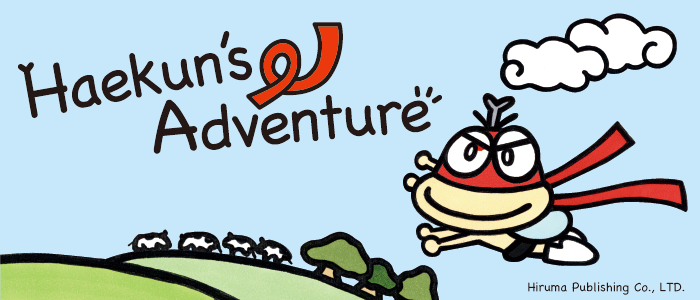 �͂�����̖`��